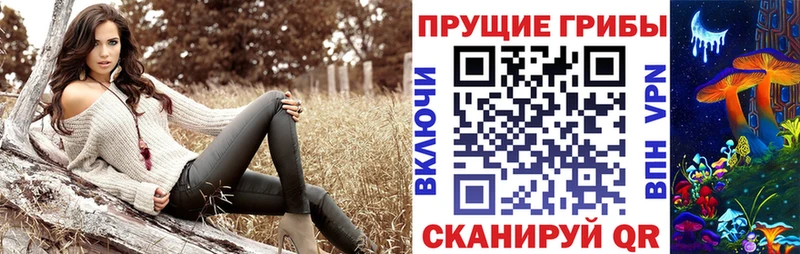 Купить  Лукоянов  Галлюциногенные грибы MAGIC MUSHROOMS 
